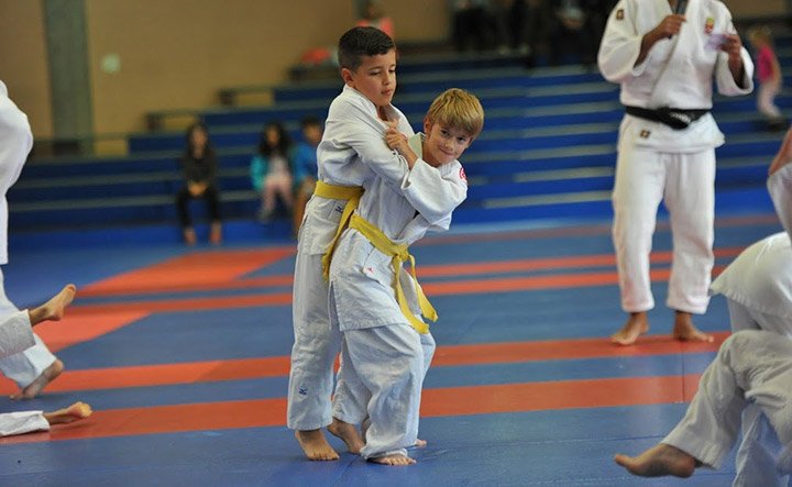 Enfants en cours de judo